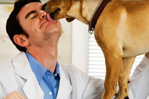 Clínica Veterinaria Arrigorriaga perro lamiendo veterinario